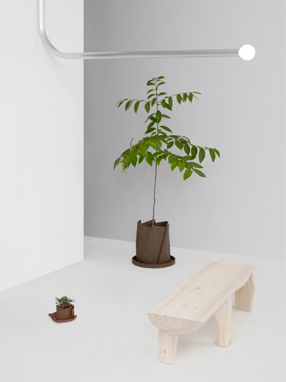 25_dbs_dustandsunlight_11.jpg